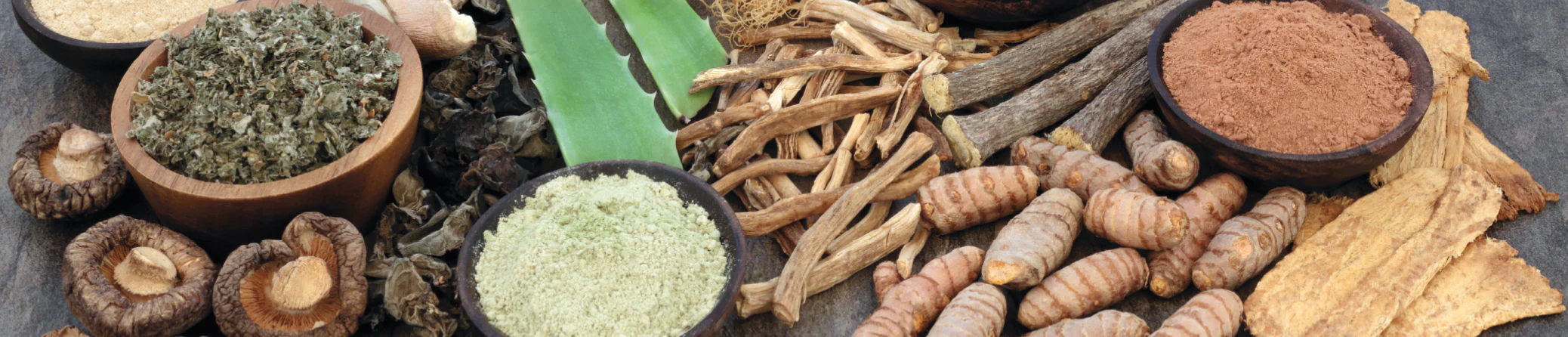 Natural Wellness for Every Body